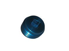Plug, 1" NPT